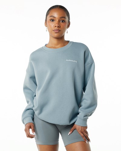 Alphalete Brushed Fleece Crewneck Pullover Blau | HD6592374