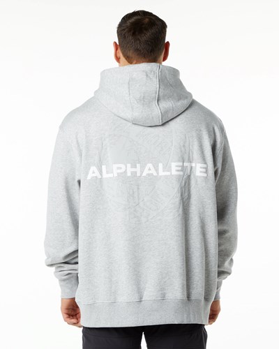 Alphalete Brushed Fleece Graphic Hoodie Grau | ZT5920813