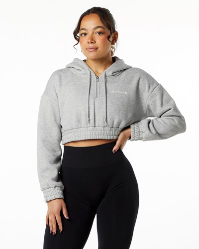 Alphalete Brushed Fleece Half-Zip Crop Hoodie Grau | HQ8536249