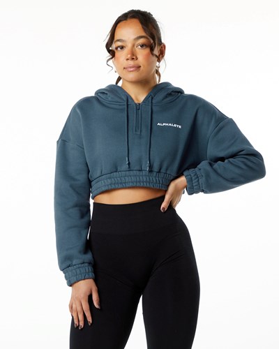 Alphalete Brushed Fleece Half-Zip Crop Hoodie Blau | OQ5986174