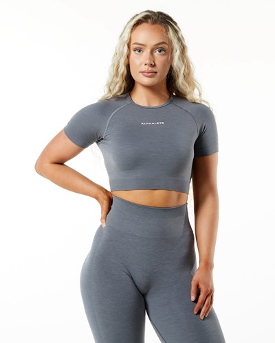 Alphalete Cropped Seamless Kurzes Sleeve Silber | RQ6423908