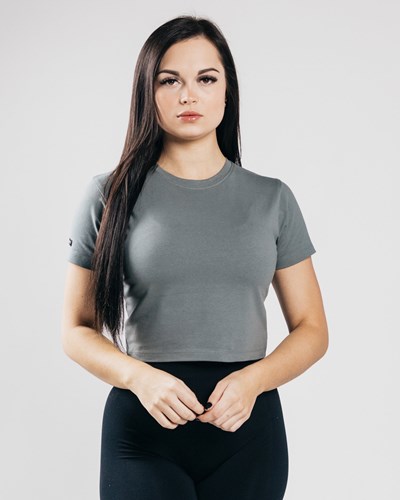 Alphalete Fitted Performance Crop Top Concrete | XF9257841