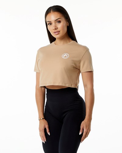 Alphalete Fitted Performance Kurzes Sleeve Crop Taupe | JQ4803156