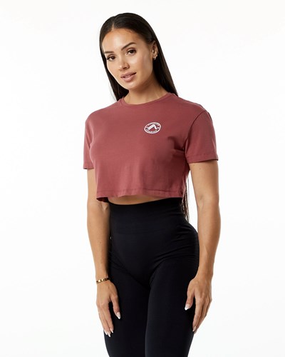 Alphalete Fitted Performance Kurzes Sleeve Crop Gingerbread | KQ5684102