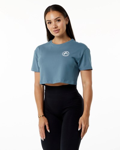 Alphalete Fitted Performance Kurzes Sleeve Crop Blau | SA0239581