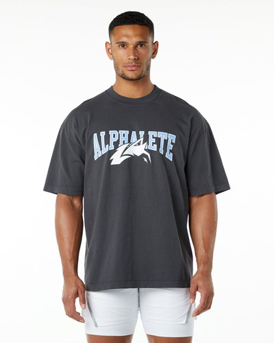 Alphalete Heavyweight Oversized Tee Blau | LM6489703