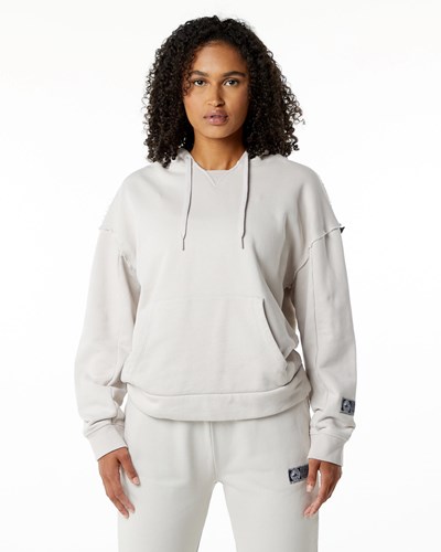 Alphalete Heavyweight Washed Terry Hoodie Moonstone | UI8796250