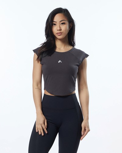 Alphalete High Performance Kurzes Sleeve Crop Tee Grau | LW9037614