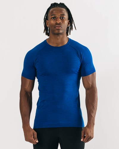 Alphalete High Performance Seamless Kurzes Sleeve Tee Blau | BI8042976