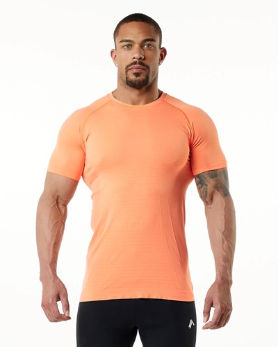 Alphalete High Performance Seamless Kurzes Sleeve Tee Faded Day Tripper | JB0687954