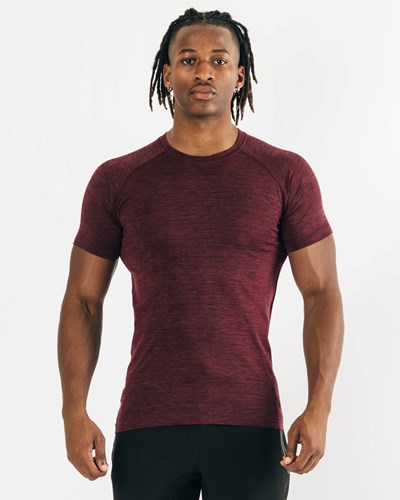 Alphalete High Performance Seamless Kurzes Sleeve Tee Schwarz | KP5148027