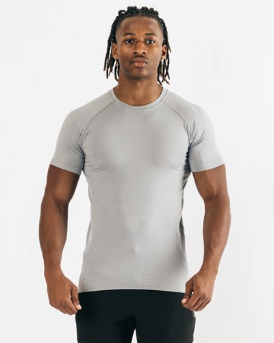 Alphalete High Performance Seamless Kurzes Sleeve Tee Grau | PE0145628