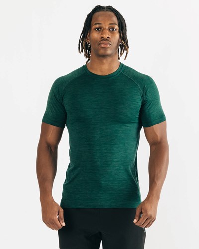 Alphalete High Performance Seamless Kurzes Sleeve Tee Darkest Pine | SU5147803