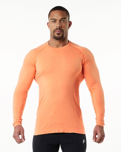 Alphalete High Performance Seamless Long Sleeve Tee Faded Day Tripper | RA4716328