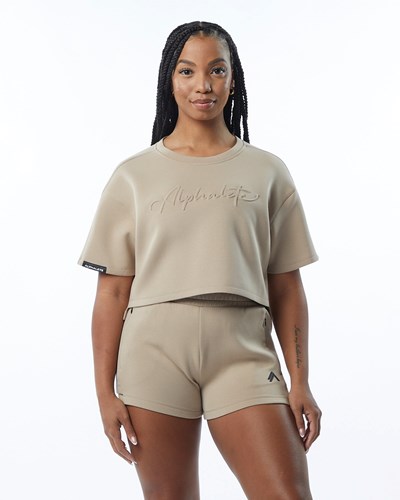 Alphalete Interlock Knit Crop Pullover Tan | GN4812653