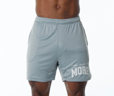 Alphalete Luxury Gefütterte 4-Way Stretch Mesh Kurzes Blau | PW0675248