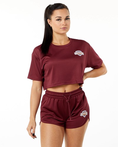 Alphalete Oversized Crop Jersey Crimson | WH8426910