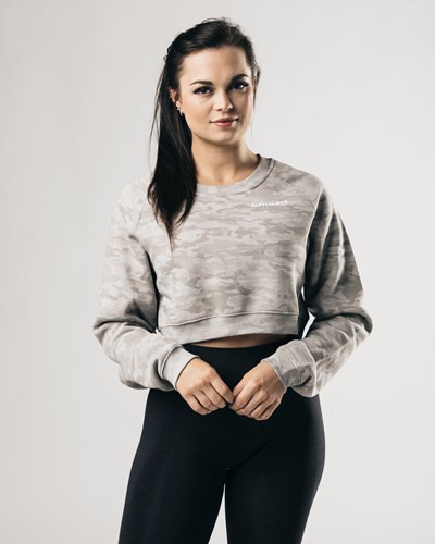 Alphalete Oversized Fleece Cropped Pullover Silber | DE1053967