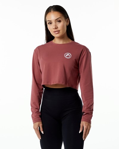 Alphalete Oversized Performance Long Sleeve Crop Gingerbread | BV1956704