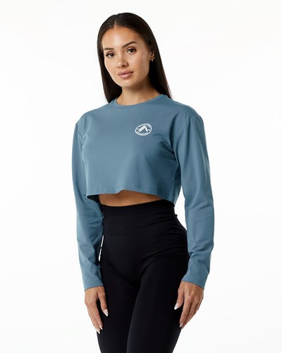 Alphalete Oversized Performance Long Sleeve Crop Blau | FI3201487