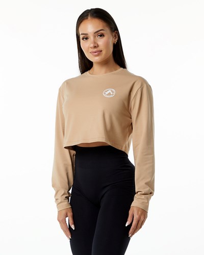 Alphalete Oversized Performance Long Sleeve Crop Taupe | UQ3124067