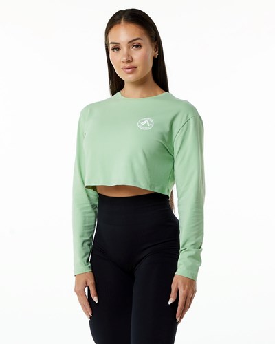 Alphalete Oversized Performance Long Sleeve Crop Pistachio | WK0153986