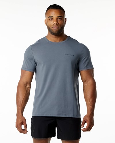 Alphalete Relaxed Fit Tee Carbon | QV6752301