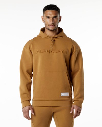 Alphalete Relaxed Interlock Knit Hoodie Almond | NK3420718