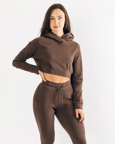 Alphalete Relaxed Single-Brushed Pullover Hoodie Cocoa | MA8125730