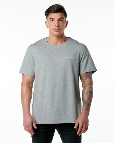 Alphalete Set-In Sleeve Tee Grau | AR9546782