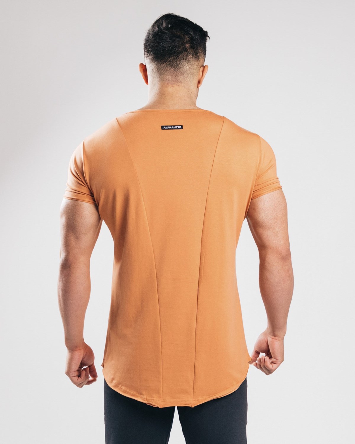 Alphalete Fitted Kurzes Sleeve Clay | GQ5814907