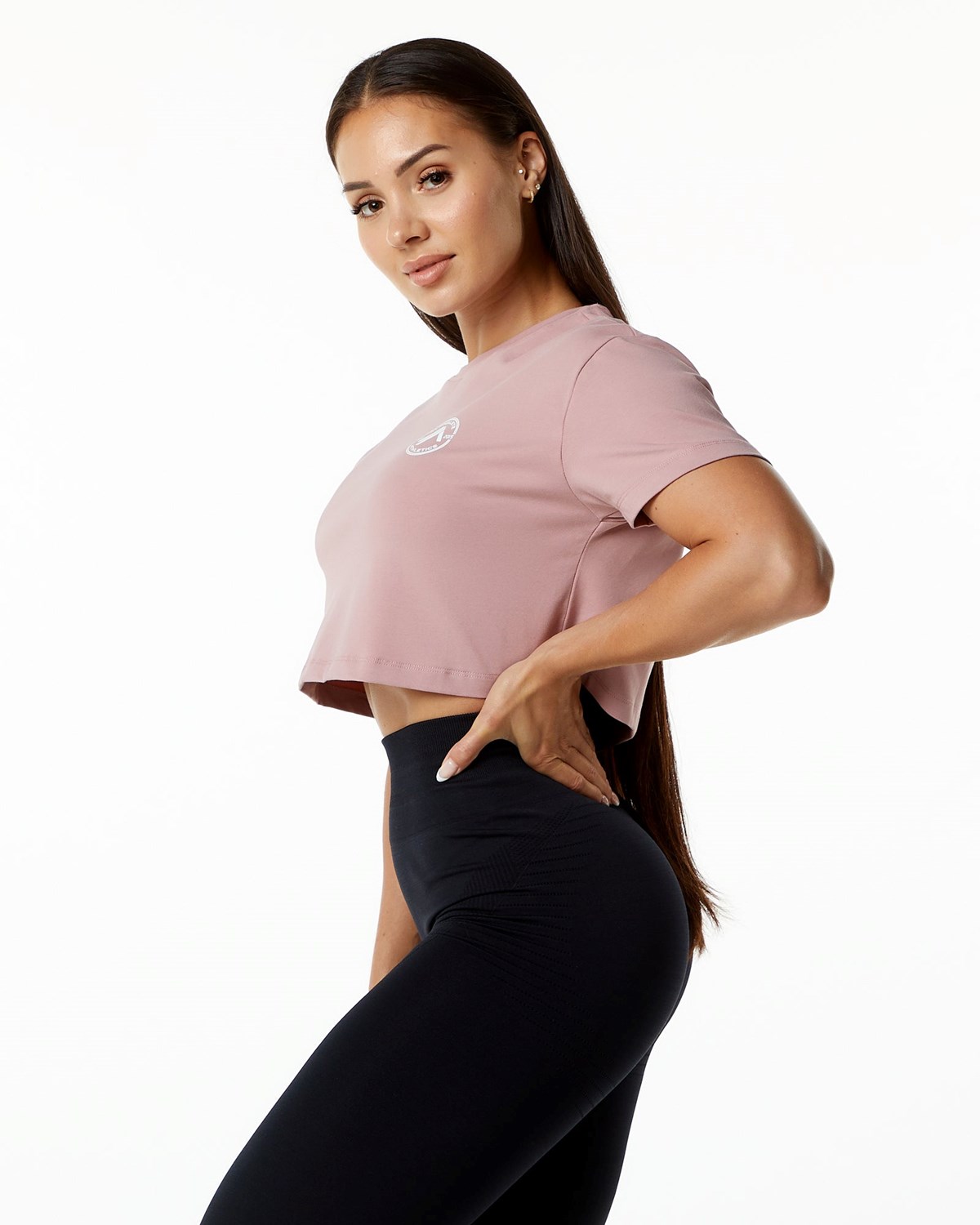 Alphalete Fitted Performance Kurzes Sleeve Crop Mauve | BZ3048625