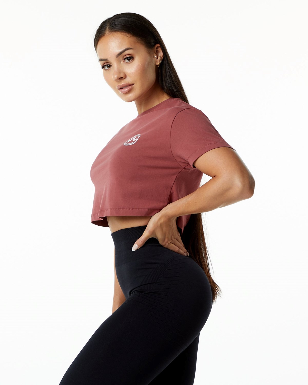 Alphalete Fitted Performance Kurzes Sleeve Crop Gingerbread | KQ5684102