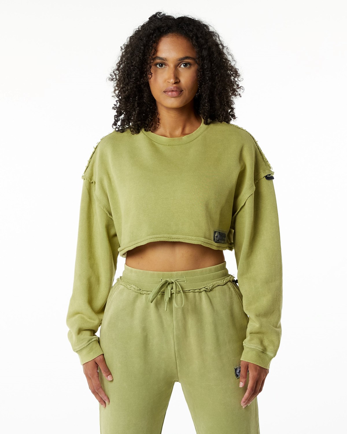 Alphalete Heavyweight Washed Terry Crop Pullover Grün | QB8062419