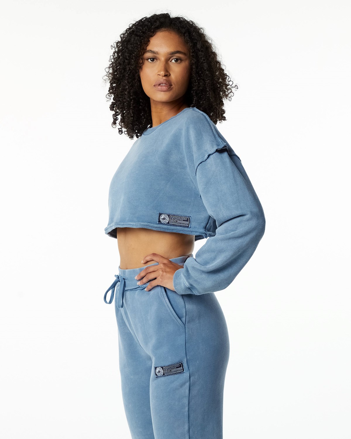 Alphalete Heavyweight Washed Terry Crop Pullover Blau | XA8460359