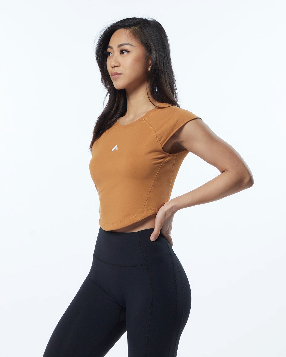 Alphalete High Performance Kurzes Sleeve Crop Tee Chestnut | KI2064739