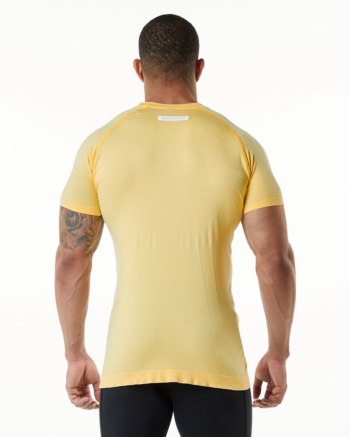 Alphalete High Performance Seamless Kurzes Sleeve Tee Faded Honey | LM0652713